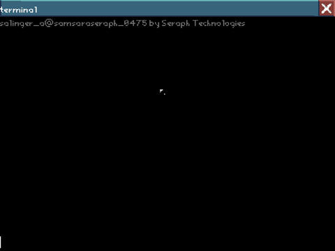 A Terminal software for the Samsara OS